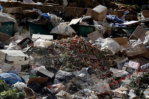 شركة سوكلين اوقفت رفع النفايات في الضاحية