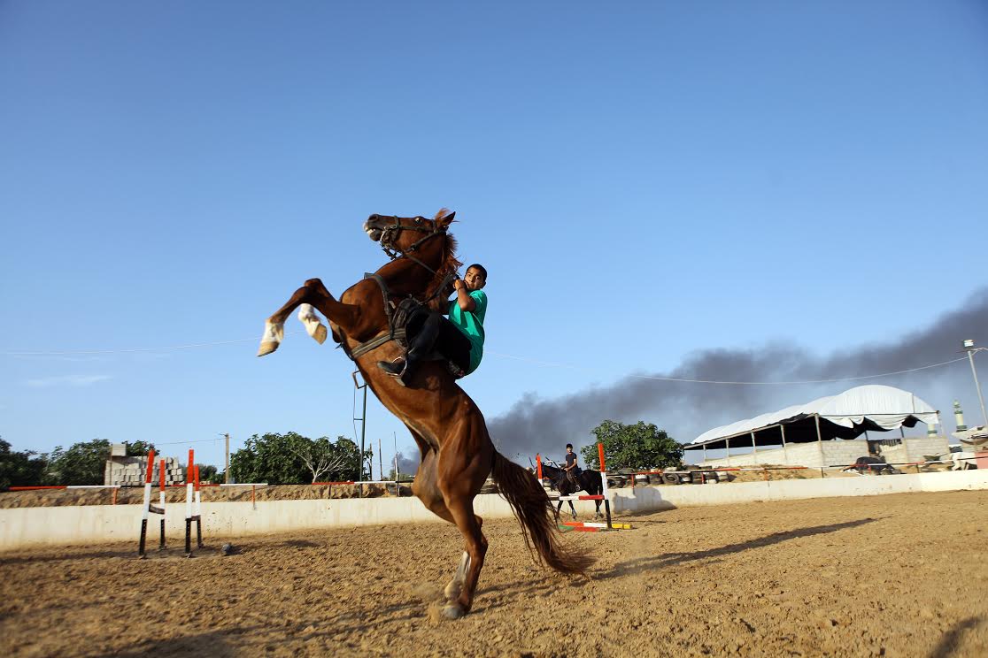 رياضة ركوب الخيل في غزة