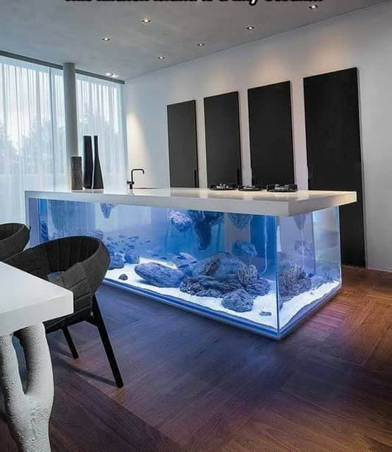 احواض سمك مذهلة هل تجعلها في بيتك؟
