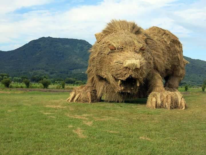 تماثيل ضخمة من قش الرز في اليابان