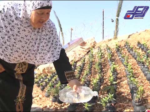 قنابل الغاز التي يطلقها مكان لزرع الزهور في الضفة الغربية