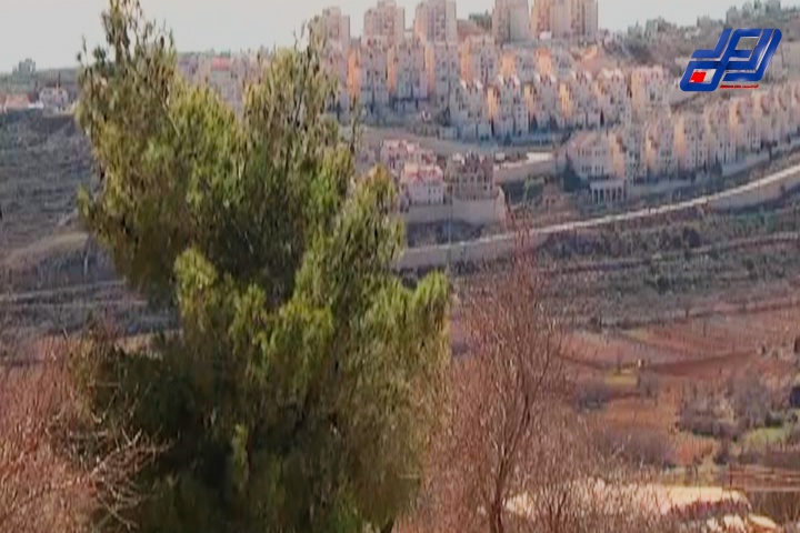 قرية حوسان في مدينة بيت لحم نموذج لمعاناة الفلسطينيين مع الاستيطان