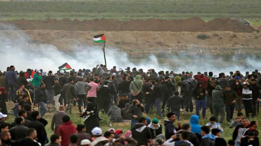 غزة تفضح كذبة المجتمع الدولي