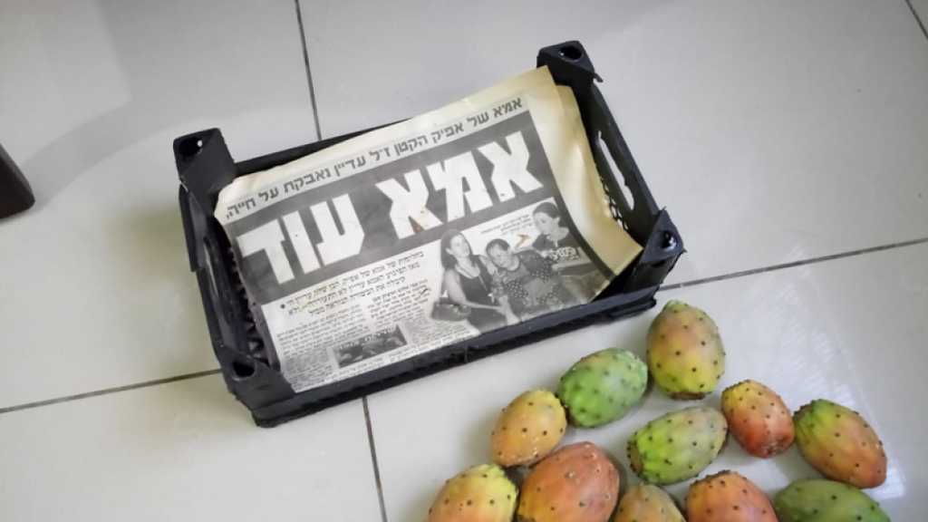 صبّار مغلف بصحف عبرية في الأسواق اللبنانية