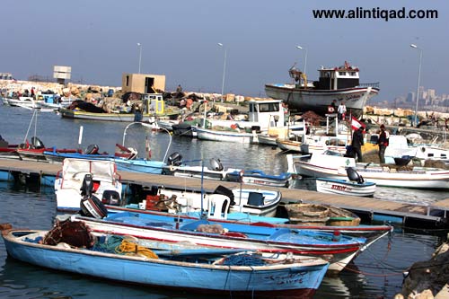 الحياة تعود اليوم إلى مرفأ الأوزاعي... والصيادون إلى البحر من جديد