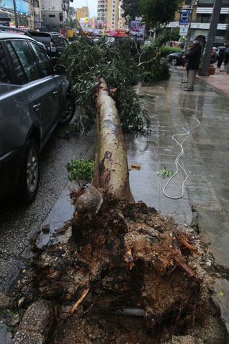 اضرار العاصفة (زينة 2015) تطال كل لبنان