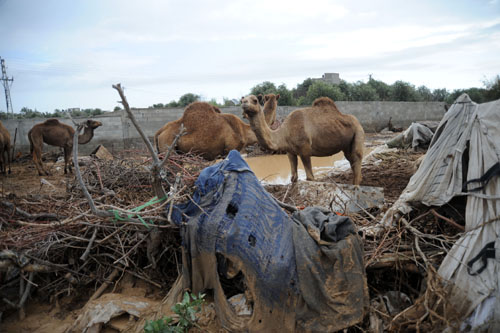 الاحتلال الصهيوني يفتح السدود على قطاع غزة المحاصر لإغراق المنازل 