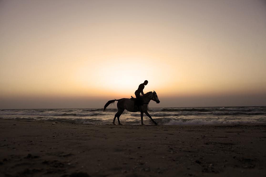 رياضة ركوب الخيل في غزة