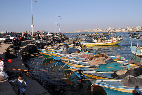 فلسطين: الصيادون يضربون بعد استشهاد ابو ريالة برصاص جيش الاحتلال