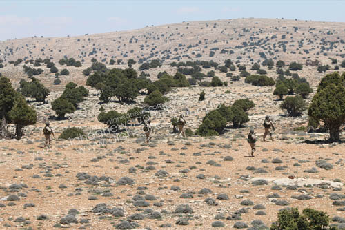 مجاهدو المقاومة الإسلامية