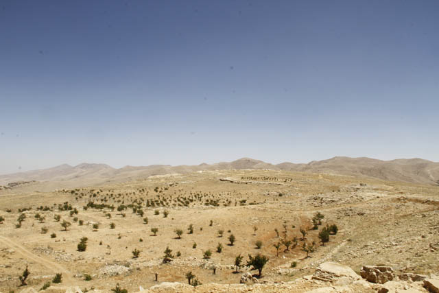 العهد في جرود عرسال المحررة