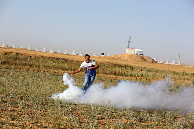 فلسطين ترد النار بالنار