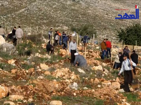 زراعة اكثر من 700 شجرة في اطراف بلدة كفر تبنينت في جنوب لبنان