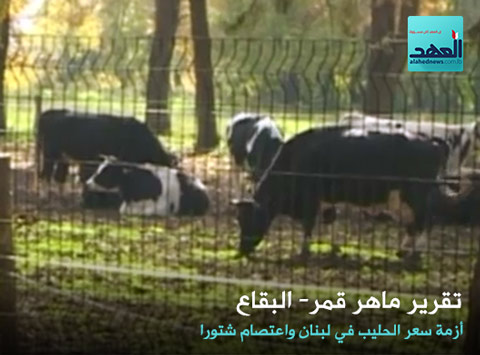 أزمة سعر الحليب في لبنان واعتصام شتورا - ماهر قمر - البقاع - 02-06-2016