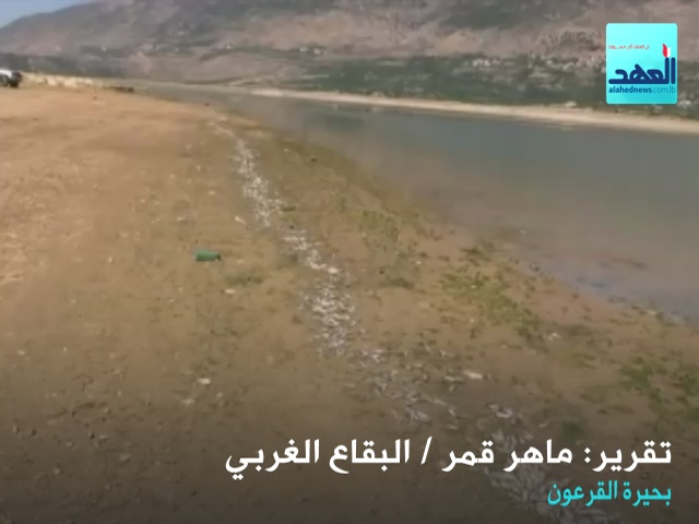 تلوث نهرا لليطاني - تقرير ماهر قمر - البقاع الغربي - 16-07-2016