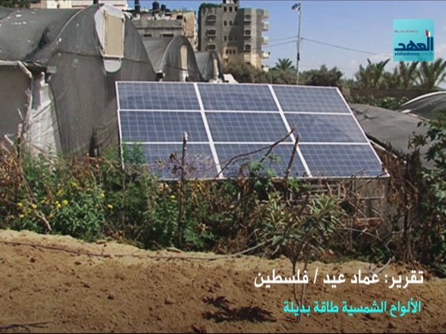 الطاقة الشمسية في غزة - عماد عيد - 20-10-2016