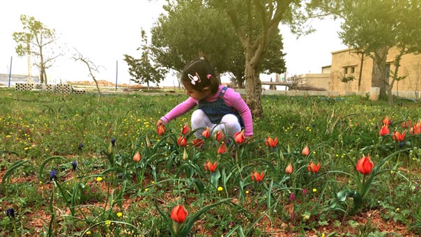 أول أيام الربيع في لبنان: الى  الحياة در...