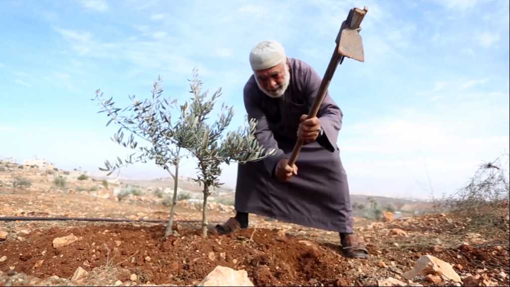 بالمعول والرفش .. قصرة تدفع المستوطنات