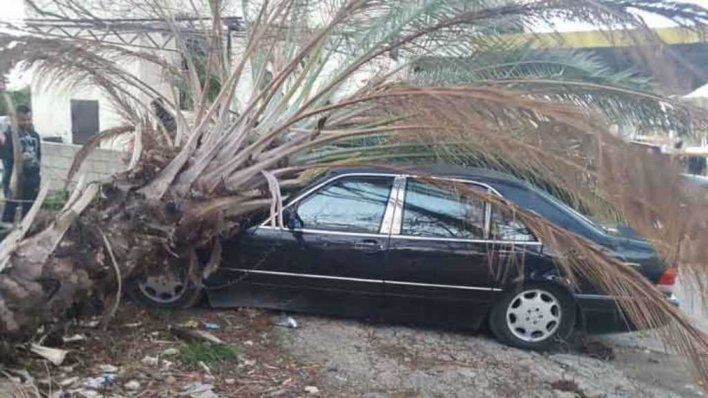 بالصور: العاصفة تسببت بأضرار كبيرة في طرابلس وعكار وتوقف الملاحة في مرفأ العبدة