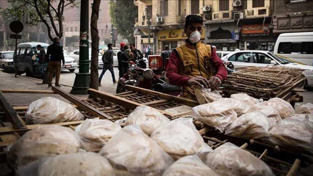 صندوق النقد الدولي.. والفقر المزمن في مصر