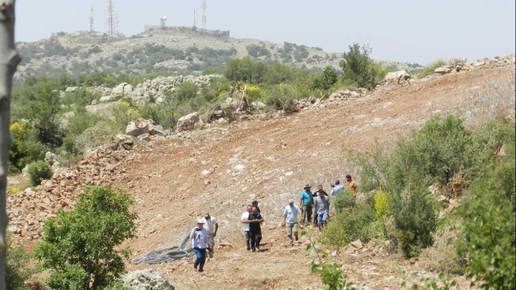 دورية صهيونية اجتازت الخط الحدودي غرب شبعا وحاولت خطف راع