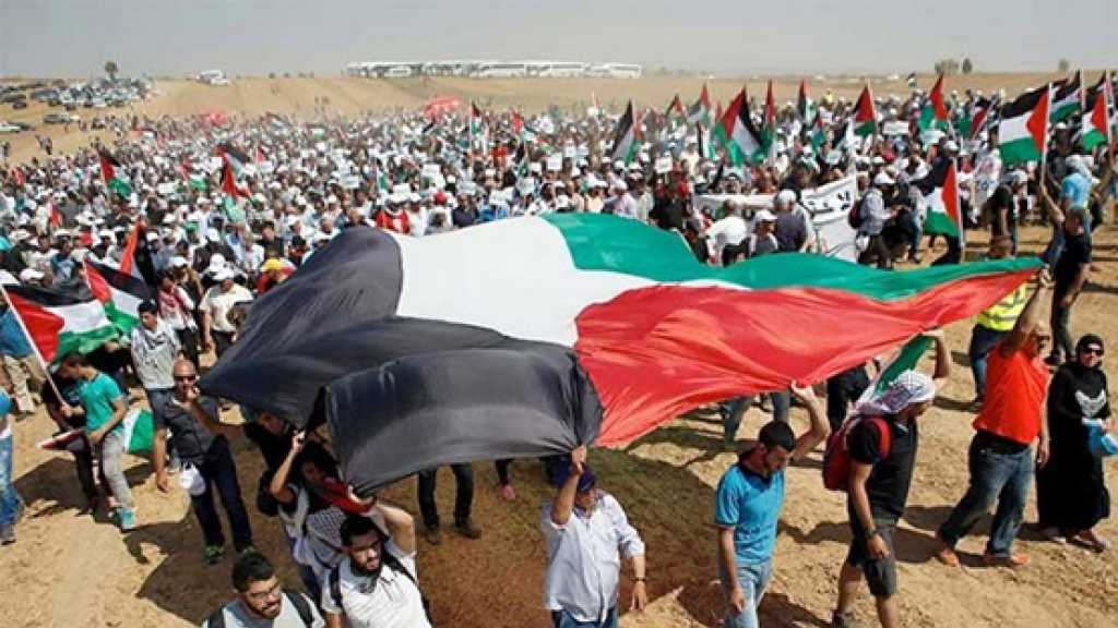 فلسطين: العين بالعين والسن بالسن