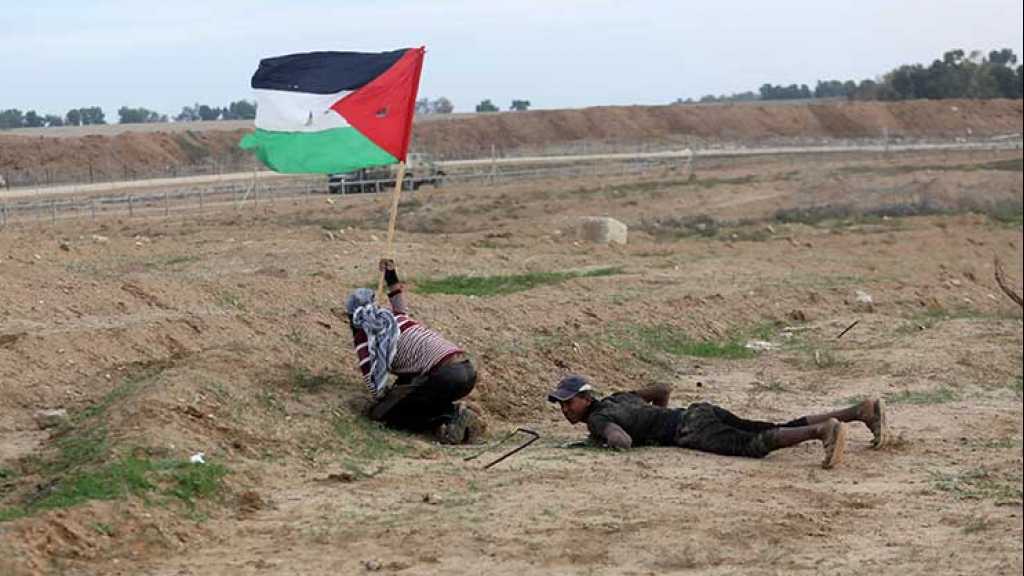 العلم الفلسطيني راية مسيرات العودة