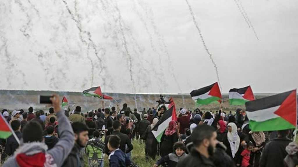جمعة التضامن الدولي مع الشعب الفلسطيني